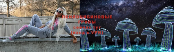 бутират Алексеевка