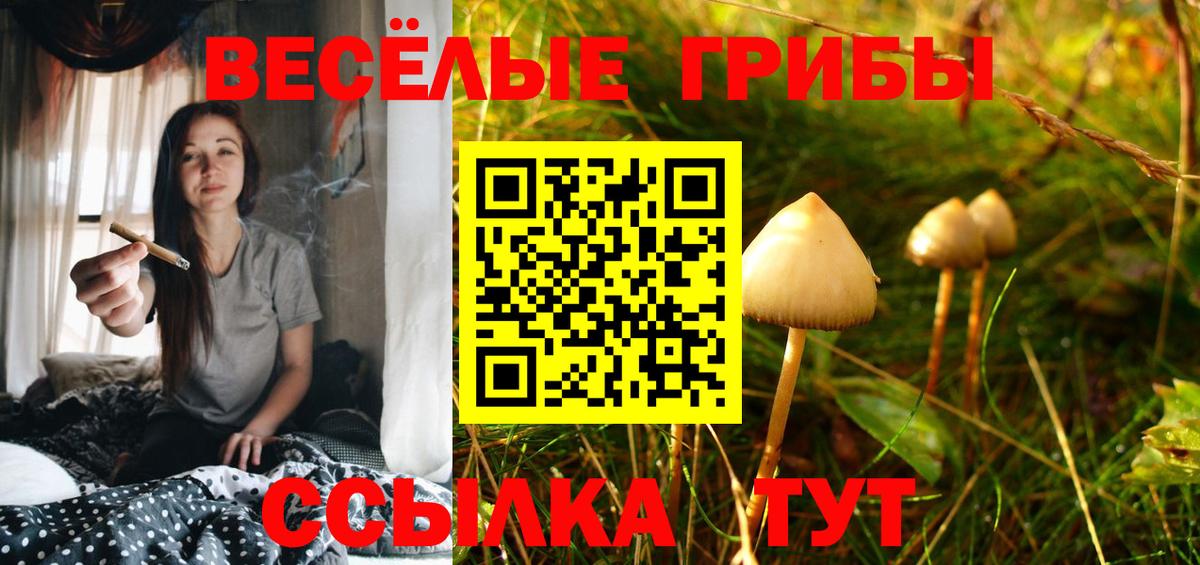 цена   Псилоцибиновые грибы мицелий  Вход с VPN  Чапаевск 